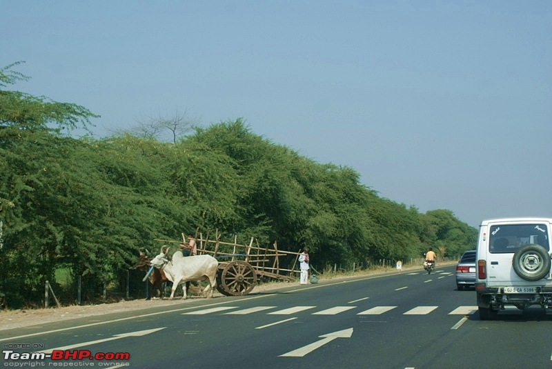 An Incredible Road Trip of a Lifetime to Udaipur, The Most Romantic City in the World-trip-udaipur-nh8-47.jpg