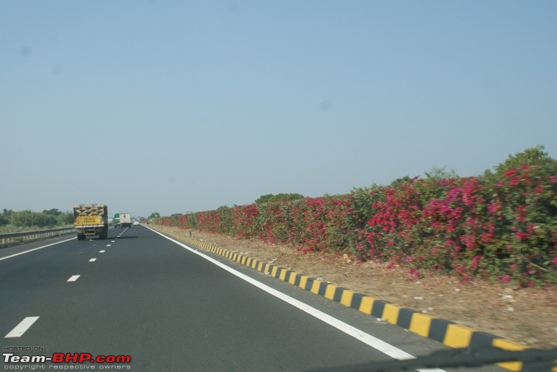 An Incredible Road Trip of a Lifetime to Udaipur, The Most Romantic City in the World-trip-udaipur-nh8-48.jpg