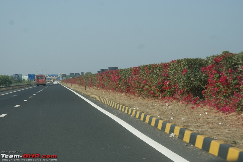 An Incredible Road Trip of a Lifetime to Udaipur, The Most Romantic City in the World-trip-udaipur-nh8-49.jpg