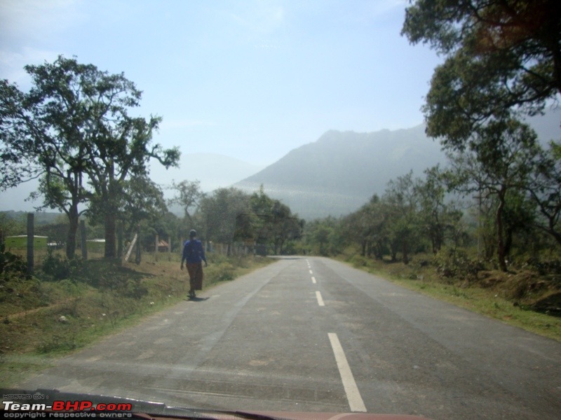 Trip to Highest point on nilgiris - My Weekend getaway 3-road2.jpg