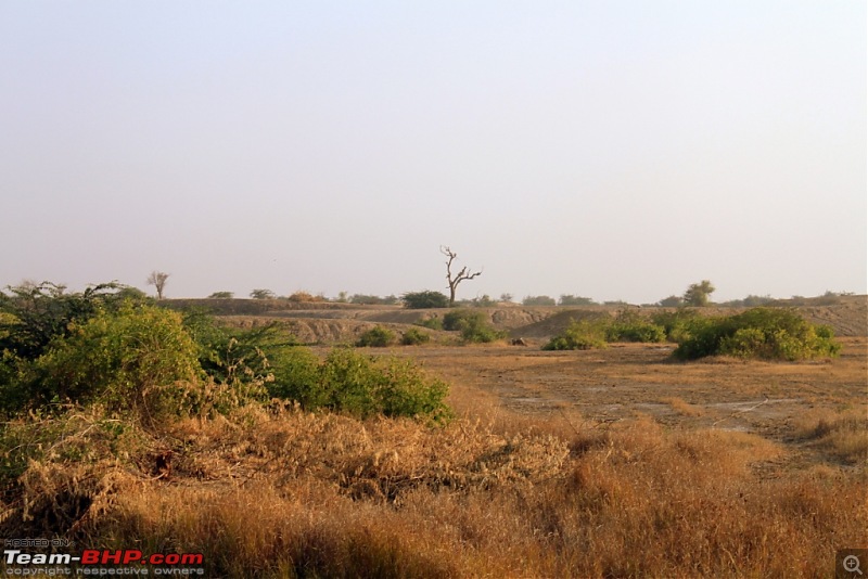 Mumbai Roadsters - Touring the West - Beaches>Lions>Dunes>and More!!!-img_0599.jpg