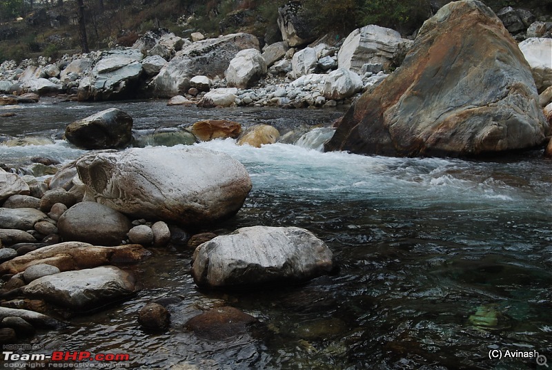 Himachal Pradesh : "The Great Hunt for Snowfall" but found just snow-dsc_1175.jpg