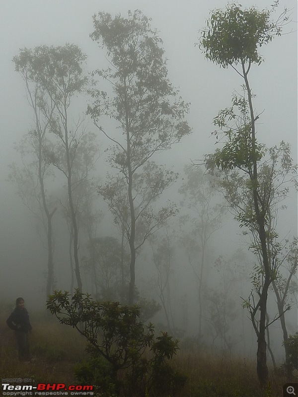 'Xing'ing around ! - Mullayanagiri to Bababudangiri... after 13 years!-053.jpg