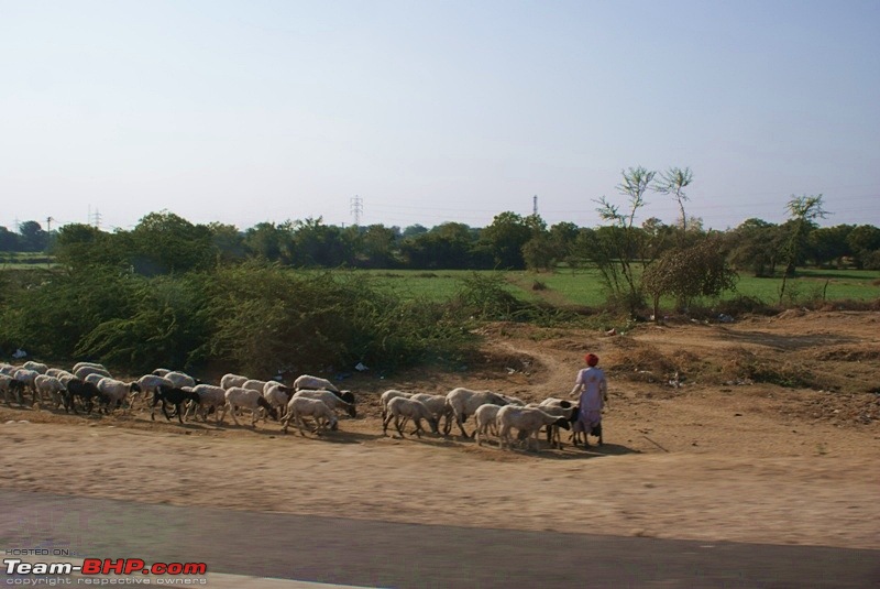 An Incredible Road Trip of a Lifetime to Udaipur, The Most Romantic City in the World-road-udaipur-06.jpg