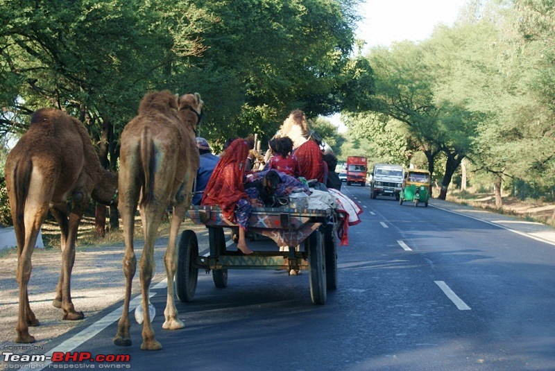 An Incredible Road Trip of a Lifetime to Udaipur, The Most Romantic City in the World-nh8-4.jpg