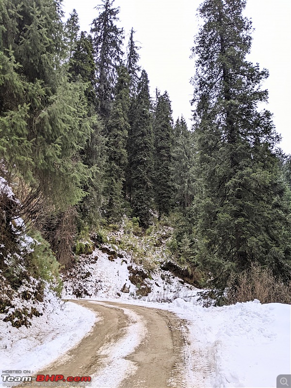 Drive to snow-clad Himachal at the year end-aabfe0064dd54e32a2f6d44996ccb7ab.jpeg