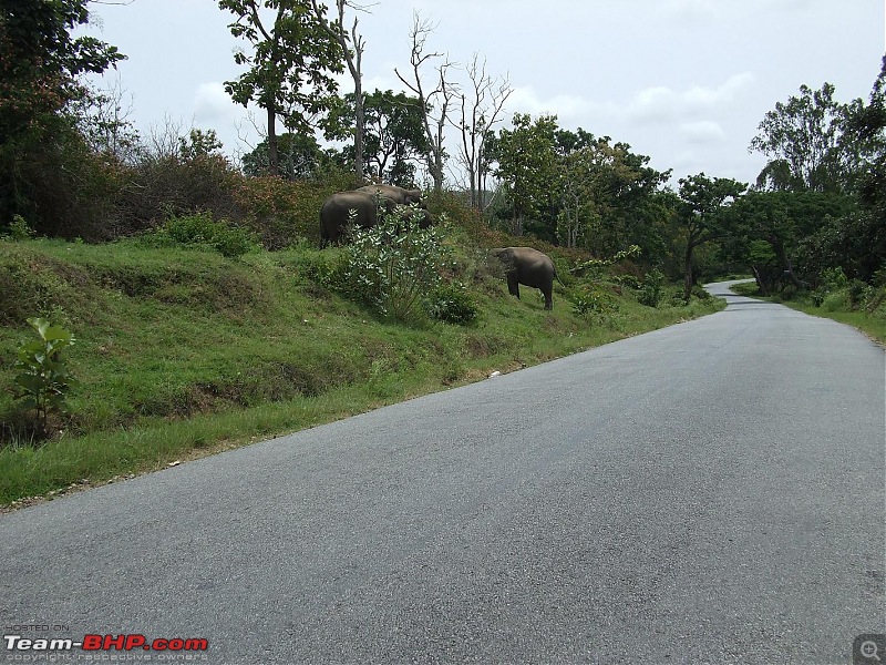 Bangalore-Nilambur-dscf0151.jpg