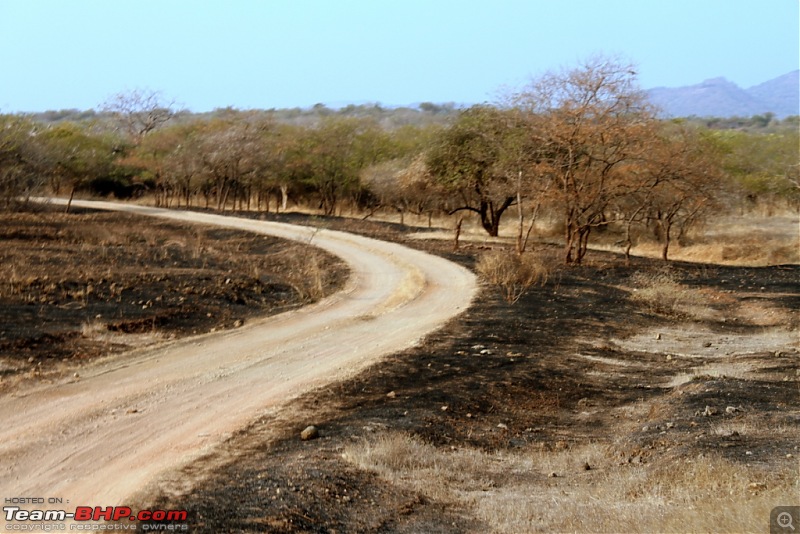 Mumbai Roadsters - Touring the West - Beaches>Lions>Dunes>and More!!!-img_0752.jpg