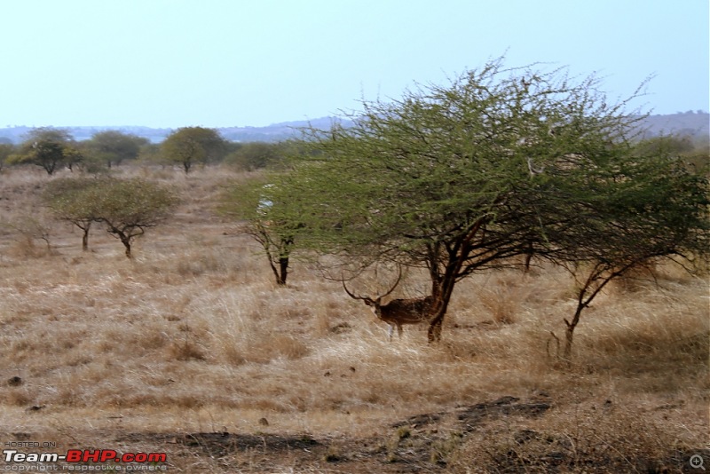 Mumbai Roadsters - Touring the West - Beaches>Lions>Dunes>and More!!!-img_0756.jpg