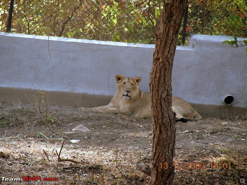 Mumbai Roadsters - Touring the West - Beaches>Lions>Dunes>and More!!!-dscn5945.jpg