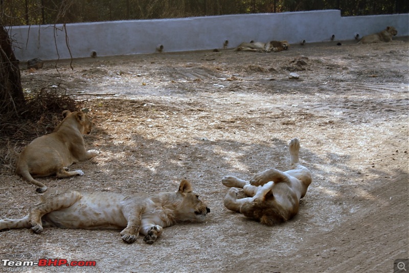 Mumbai Roadsters - Touring the West - Beaches>Lions>Dunes>and More!!!-copy-img_0811.jpg