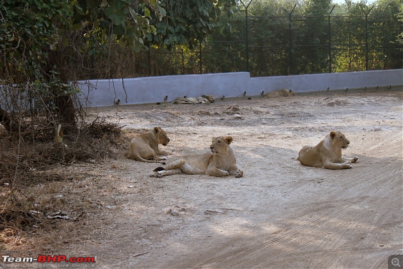 Mumbai Roadsters - Touring the West - Beaches>Lions>Dunes>and More!!!-copy-img_0837.jpg