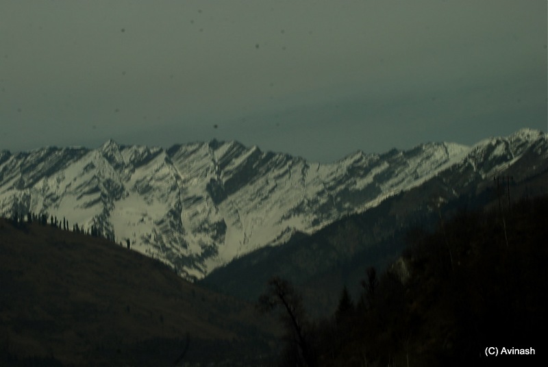 Himachal Pradesh : "The Great Hunt for Snowfall" but found just snow-dsc_1696.jpg