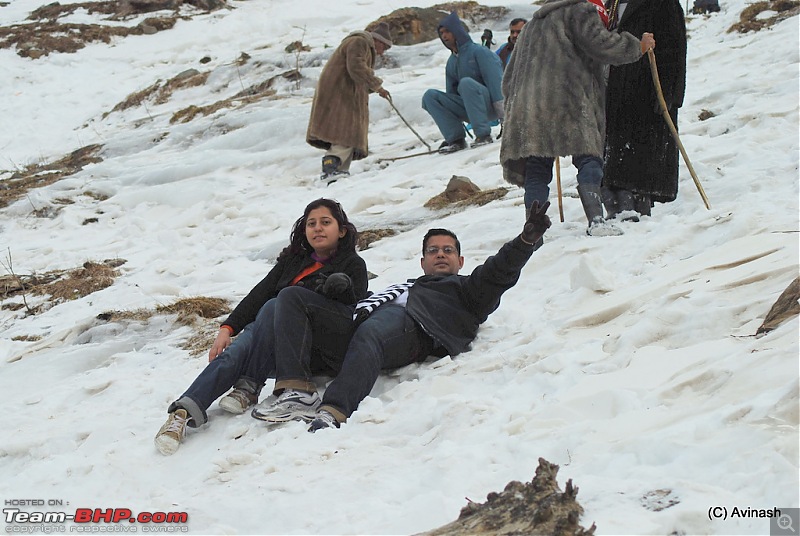 Himachal Pradesh : "The Great Hunt for Snowfall" but found just snow-dsc_1732.jpg
