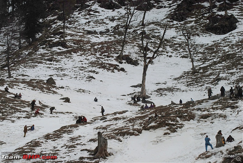 Himachal Pradesh : "The Great Hunt for Snowfall" but found just snow-dsc_1773.jpg