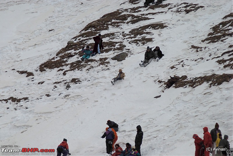 Himachal Pradesh : "The Great Hunt for Snowfall" but found just snow-dsc_1779.jpg