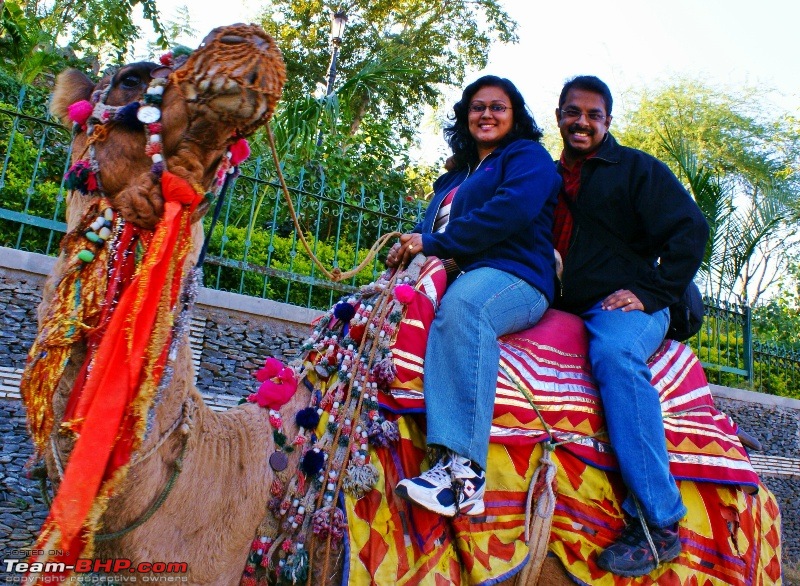 An Incredible Road Trip of a Lifetime to Udaipur, The Most Romantic City in the World-pichola-lake-camel-ride-9.jpg