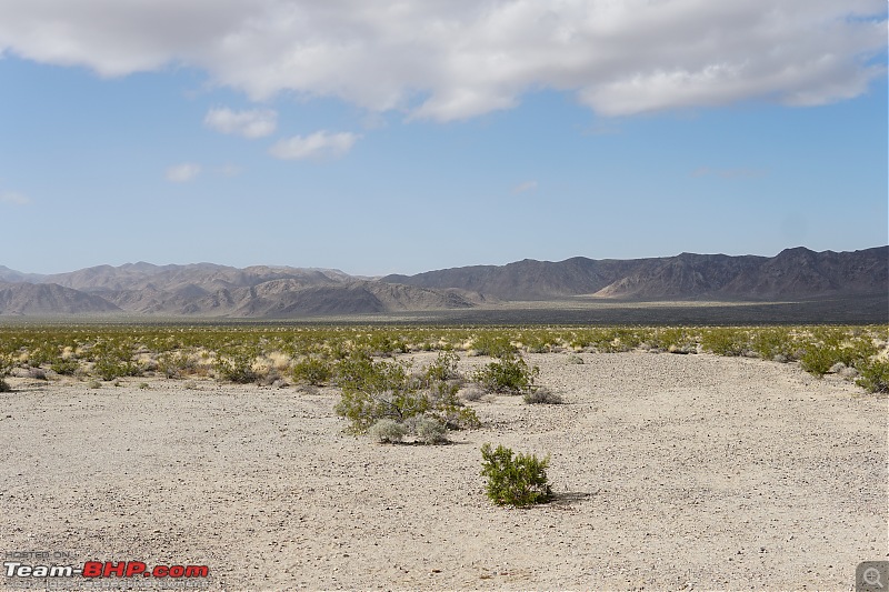 Weekend Trip to Joshua Tree National Park, Spring 2024-turkey-flats.jpg