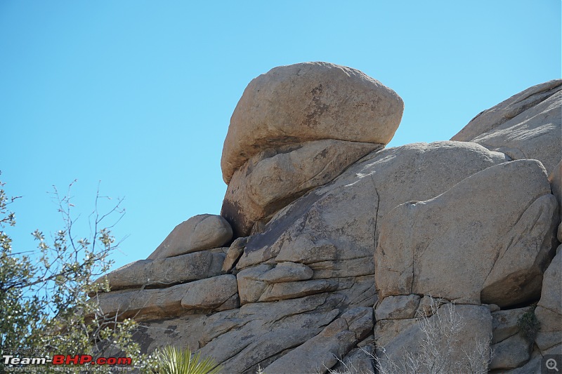 Weekend Trip to Joshua Tree National Park, Spring 2024-dsc08465squashed.jpg