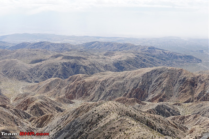 Weekend Trip to Joshua Tree National Park, Spring 2024-dsc08424squashedjpg.jpg