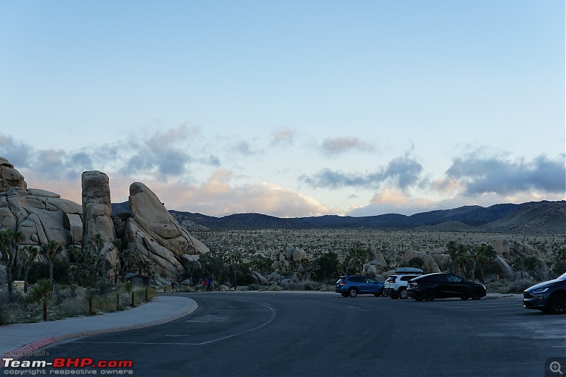 Weekend Trip to Joshua Tree National Park, Spring 2024-dsc08336squashed.jpg