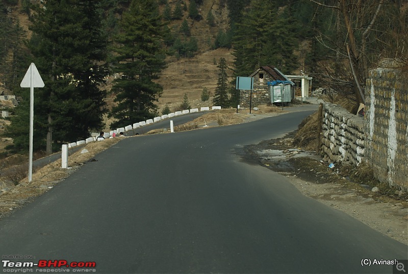 Himachal Pradesh : "The Great Hunt for Snowfall" but found just snow-dsc_1918.jpg