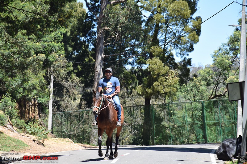 "The Last Bachelor Ride  Before the Rings Ruled Our Lives-dsc_0312.jpg