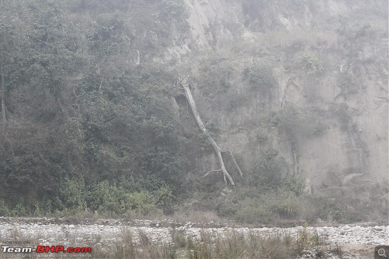 Trip to Corbett and Pangot. Did not spot the tiger though-_mg_6818.jpg