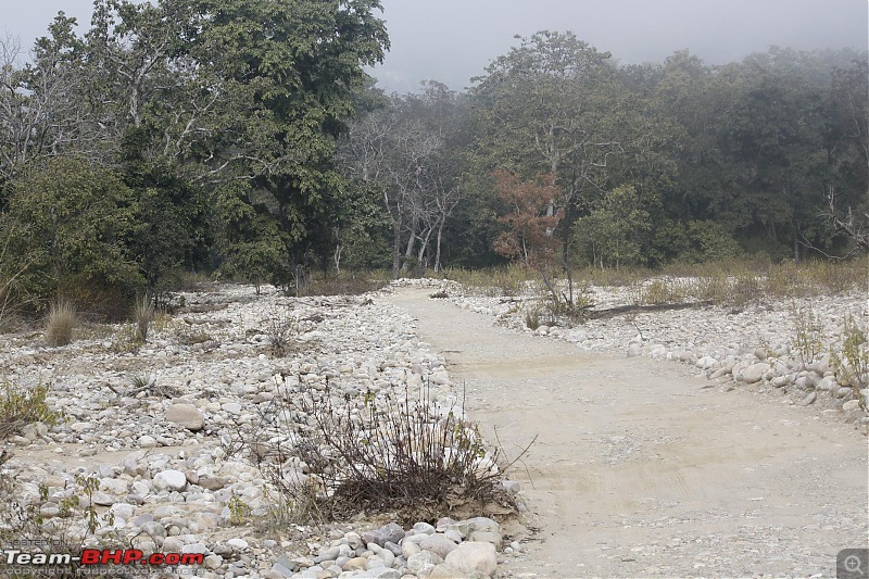 Trip to Corbett and Pangot. Did not spot the tiger though-_mg_6881.jpg