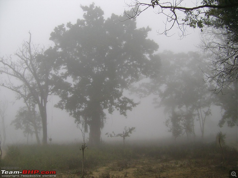 Trip to Corbett and Pangot. Did not spot the tiger though-corbett-nainital-144.jpg