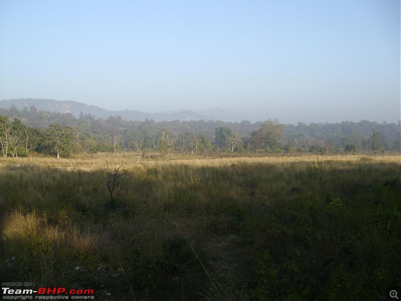 Trip to Corbett and Pangot. Did not spot the tiger though-corbett-nainital-130.jpg