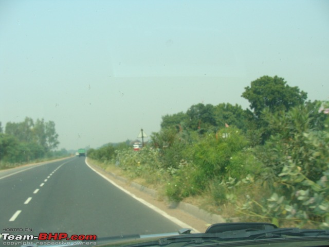 My introduction to Modern Highways: Black Tigress (Safari 2.2) roaming in Rajasthan-dsc01962.jpg