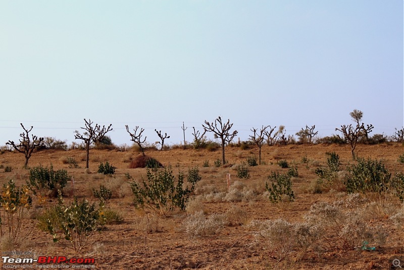 Mumbai Roadsters - Touring the West - Beaches>Lions>Dunes>and More!!!-img_1412.jpg