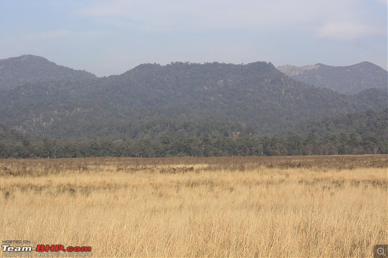 Trip to Corbett and Pangot. Did not spot the tiger though-_mg_7015.jpg