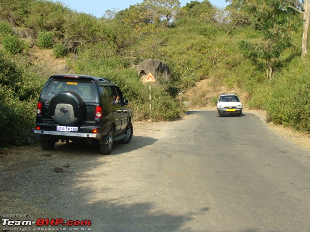 My introduction to Modern Highways: Black Tigress (Safari 2.2) roaming in Rajasthan-dsc02617.jpg