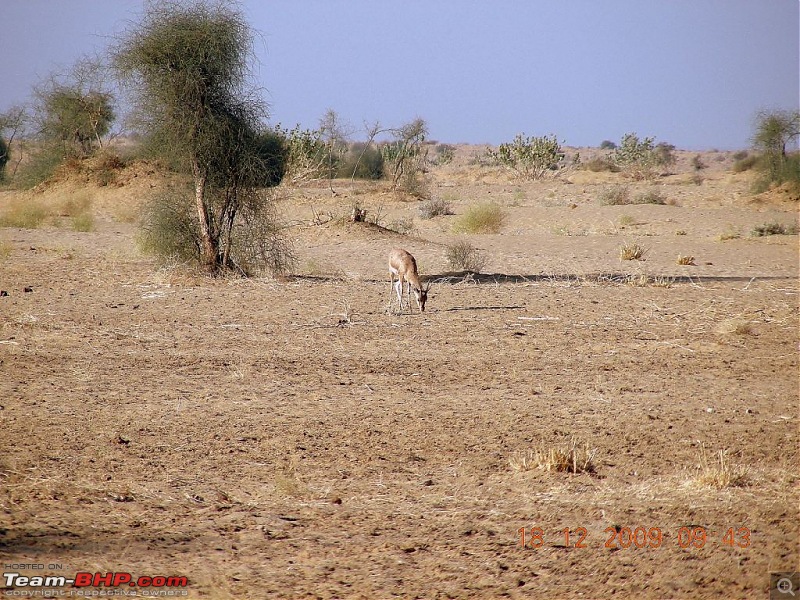 Mumbai Roadsters - Touring the West - Beaches>Lions>Dunes>and More!!!-dscn6422.jpg