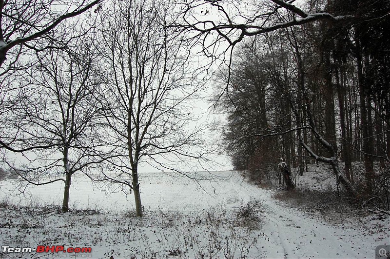 YetiBlog - Snow, Germany and a Rather Blocked Nose-dsc_4180_l.jpg