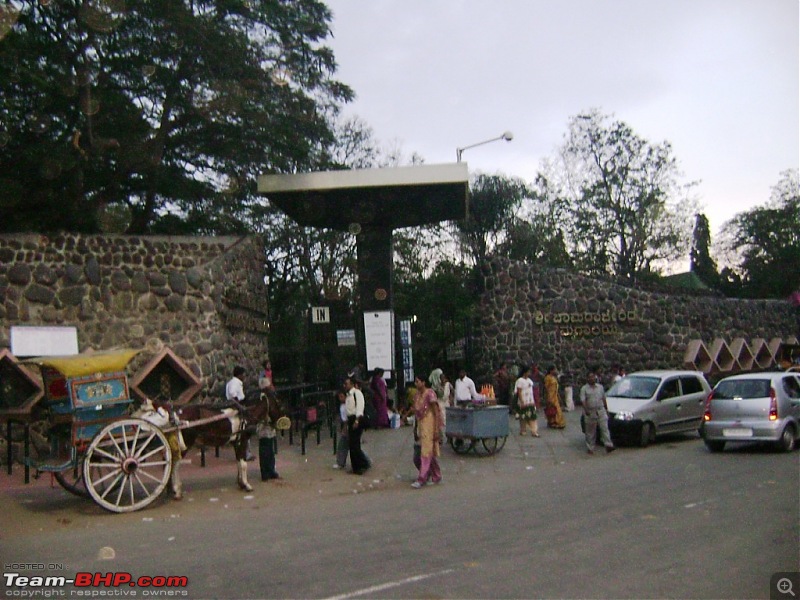 Story of a Vacation (:-))-mysore-zoo-1.jpg