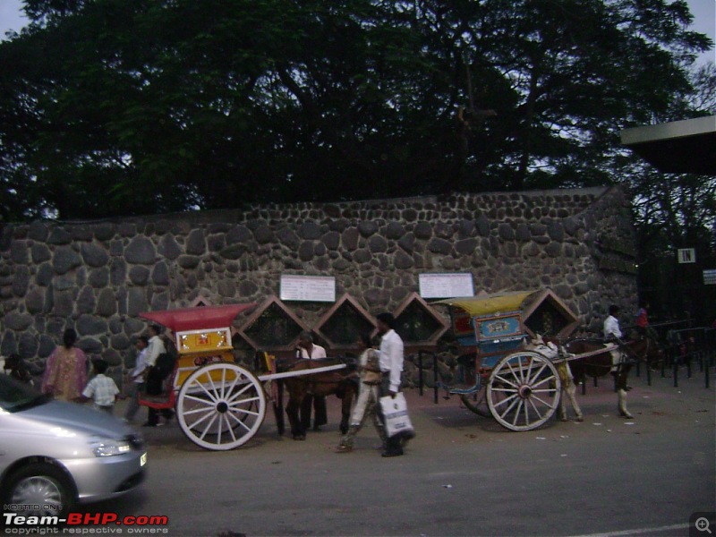 Story of a Vacation (:-))-mysore-zoo-2.jpg