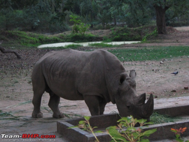 Story of a Vacation (:-))-mysore-zoo-15.jpg