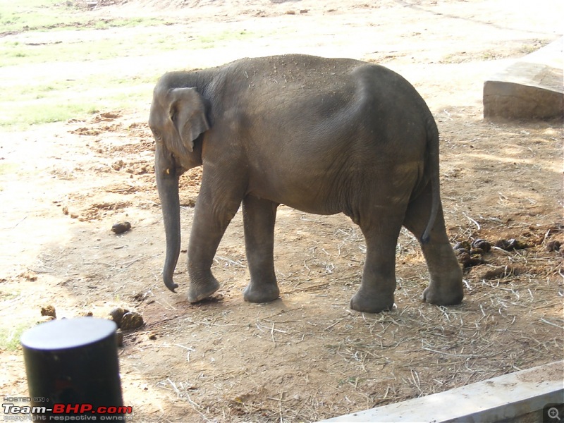 Story of a Vacation (:-))-mysore-zoo-22.jpg