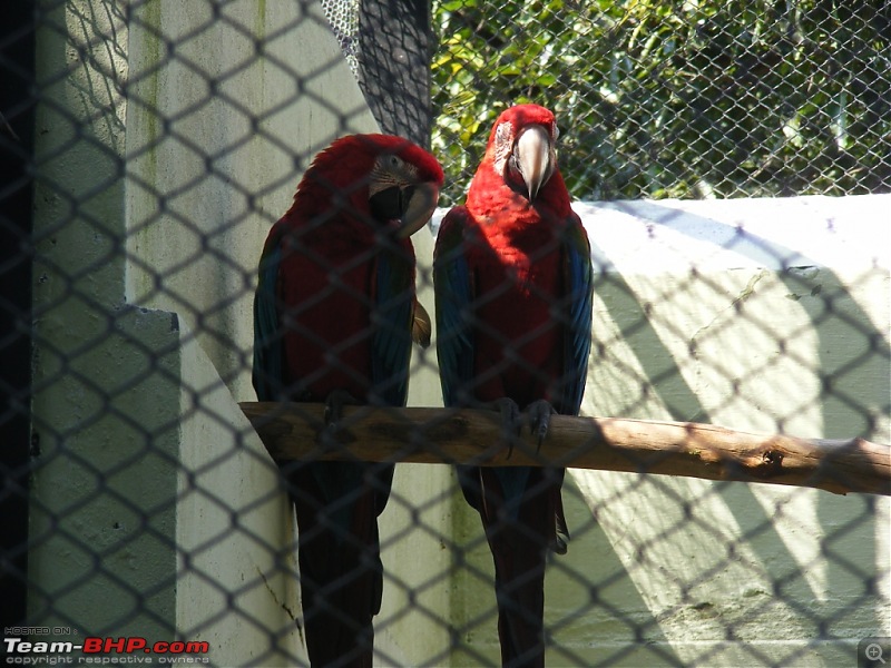 Story of a Vacation (:-))-mysore-zoo-40.jpg