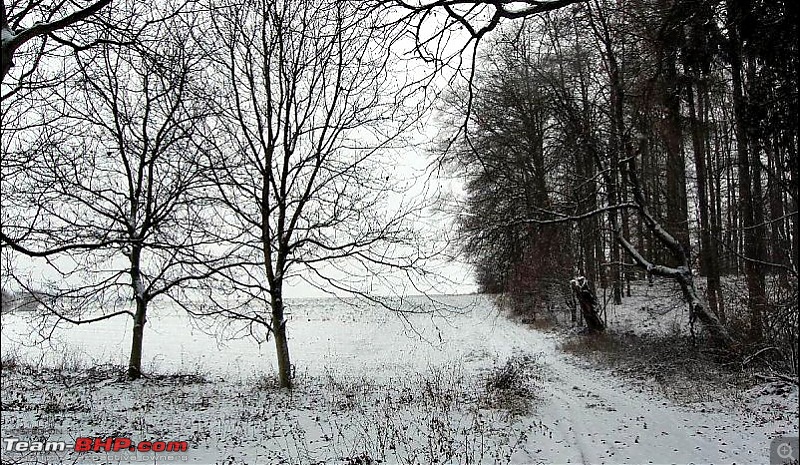 YetiBlog - Snow, Germany and a Rather Blocked Nose-sam2.jpg