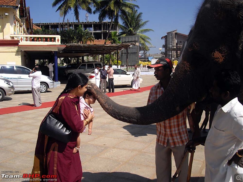A trip close to heart - Pune to Tirunelveli-elephant-1.jpg