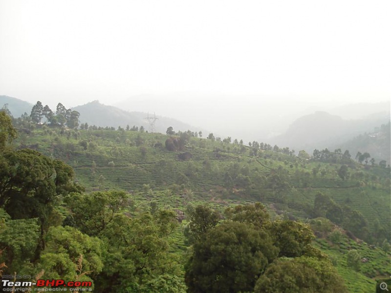 Rush Hours!! Blore > Mlore > Munnar > Blore-dsc04064_877x658.jpg