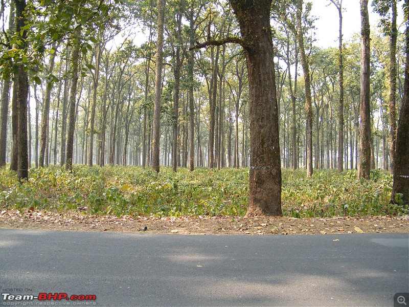 Kolkata to Dooars- A memorable road trip-pic-094.jpg