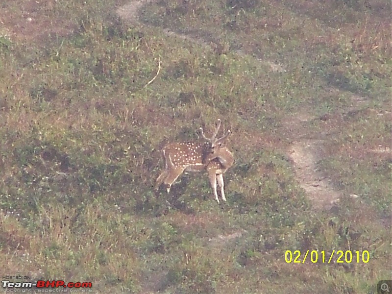 Kolkata to Dooars- A memorable road trip-100_1541.jpg