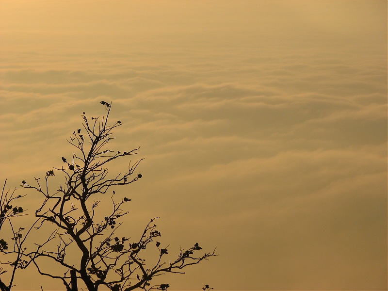 Trek to the clouds : SKANDAGIRI-1.jpg