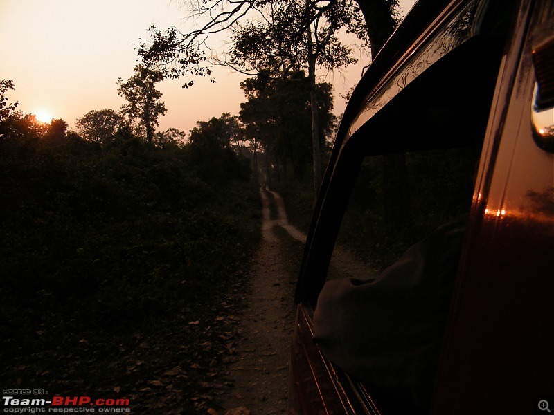 Kolkata to Dooars- A memorable road trip-pic-314.jpg