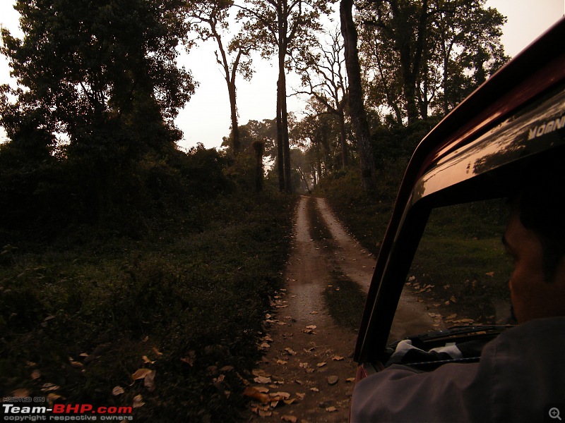 Kolkata to Dooars- A memorable road trip-pic-315.jpg